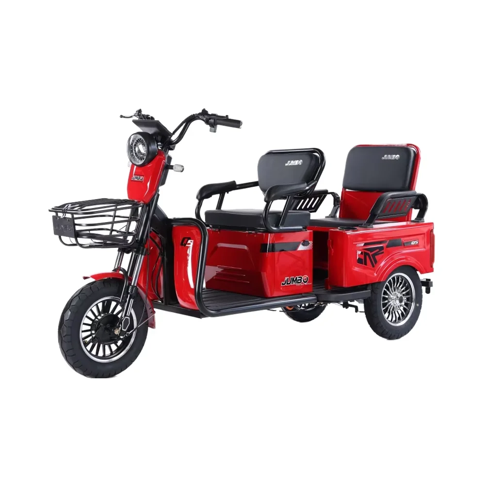 2025 CE New Arrival High Quality 800W 48v 60v Motorcycle Cargo 3 Wheel Bicycle Tricycle Electric Bike EUROPE