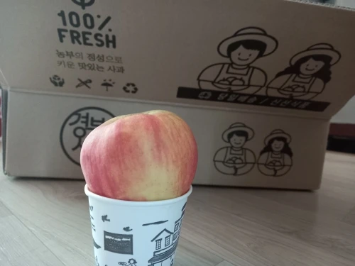 실물 포토 리뷰