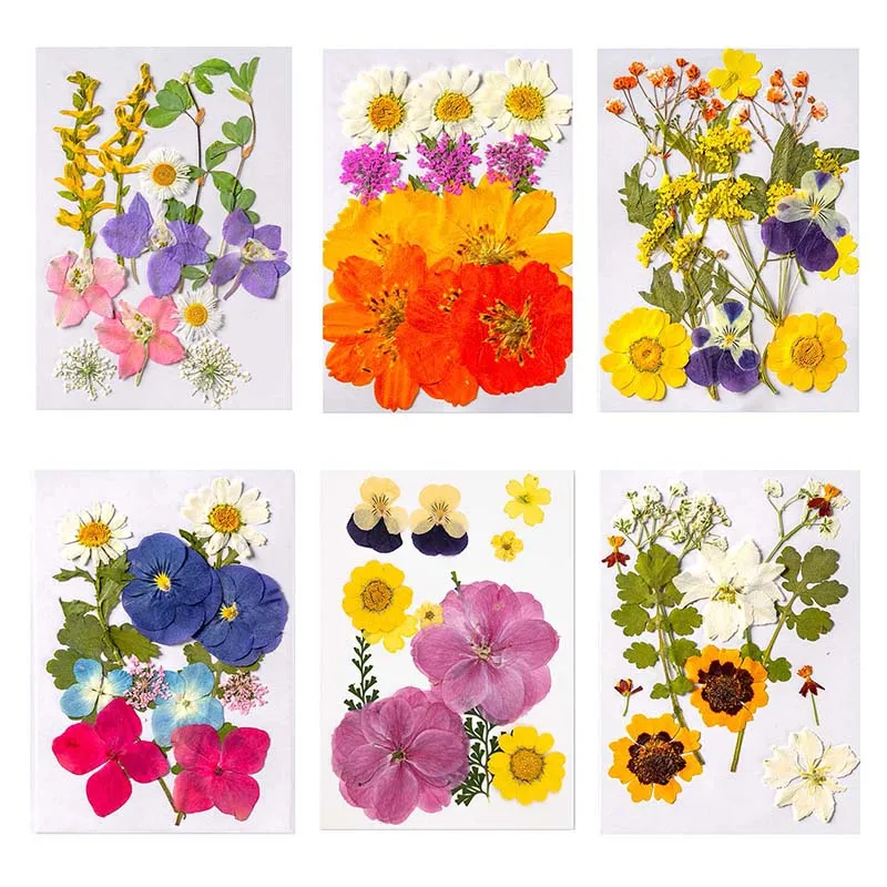 12&24PCS/Dried Natural Pressed Flowers Combination Material Kit,Dry Press Greenery Leaves For Resine Epoxy Craft,Jewelry Making