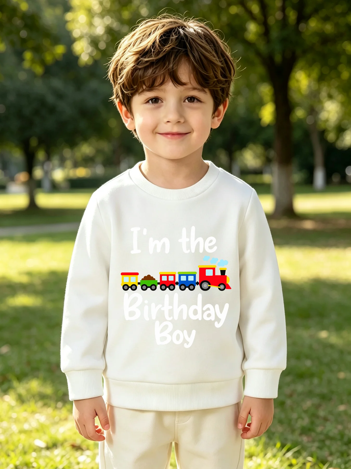 Kids Boys Birthday Sweatshirt Cartoon Train Print I'm the Birthday Boy Theme Crew Neck Long Sleeve Celebration Pullover