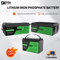 12V 100Ah / 300Ah LiFePO4 Batteries 1280Wh / 3840Wh Supports 100A BMS for series and parallel Applications Ideal VES RVs, roadst