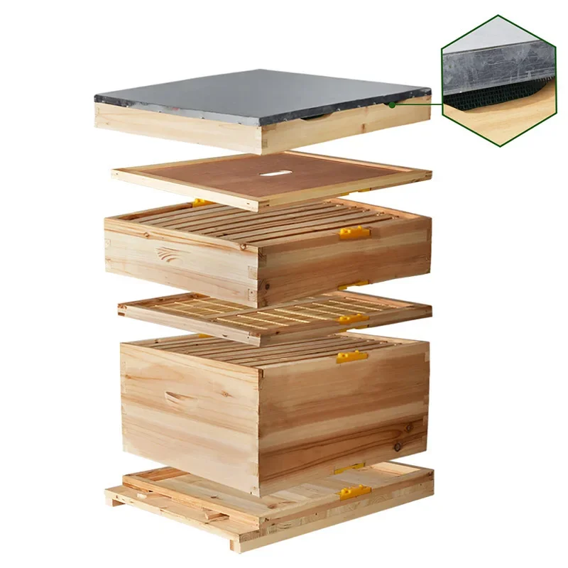 Wholesale Beekeeping 10 Frames Kenya Set Bee Hive Kit Wooden Beehive