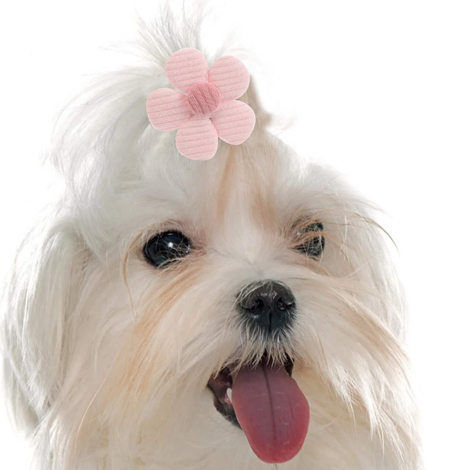 

10Pcs Dog Hair Accessories Puppy Hair Bows Elastic Bands Small Dogs Flower Headwear Grooming Decoration Pet Bow