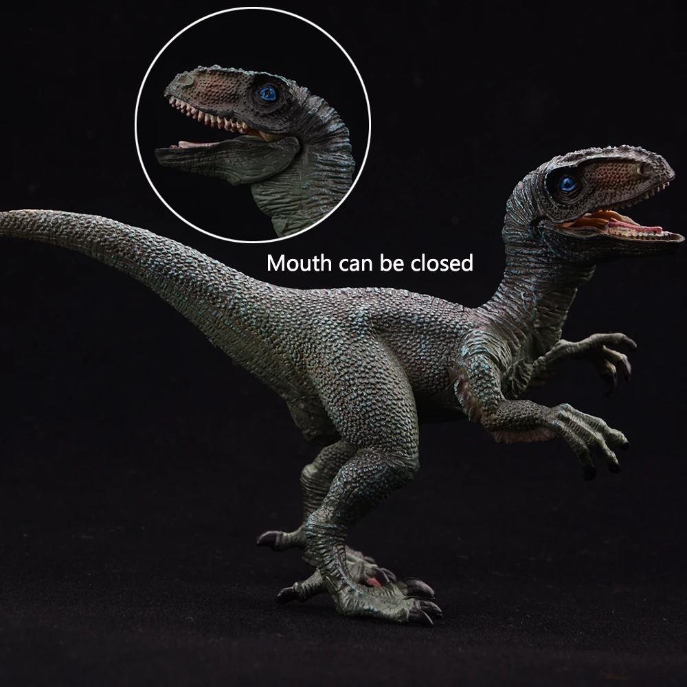 Jurassic-Dinosaurier-Figuren-Set – Dilophosaurus und Velociraptor Tiermodelle, Actionfiguren-Sammlungsspielzeug für Kinder – Detail 4
