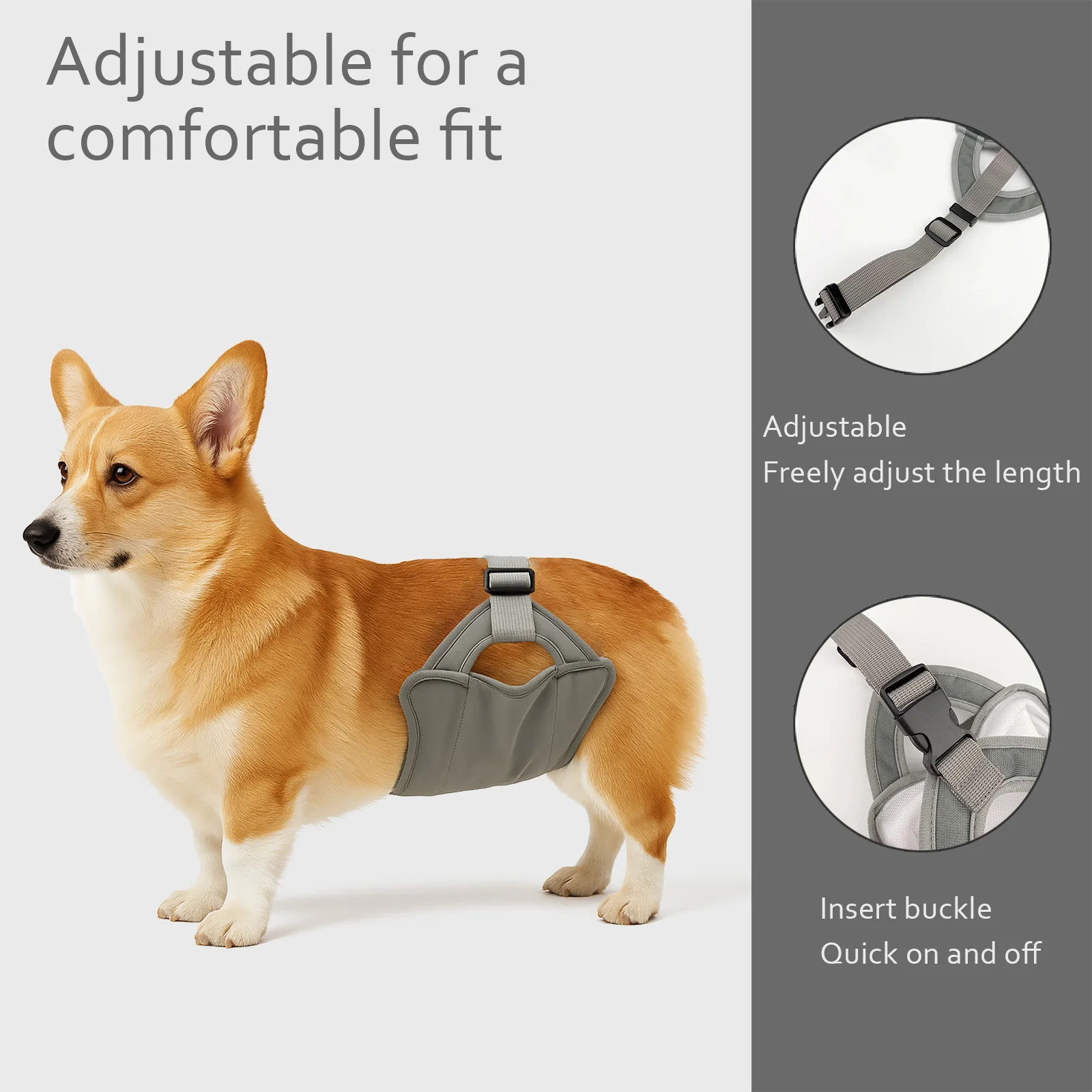 Male Dog Briefs Going Out Walking Dog Anti Harassment Adjustable Corgi Golden Retriever Politeness Shorts Breathable