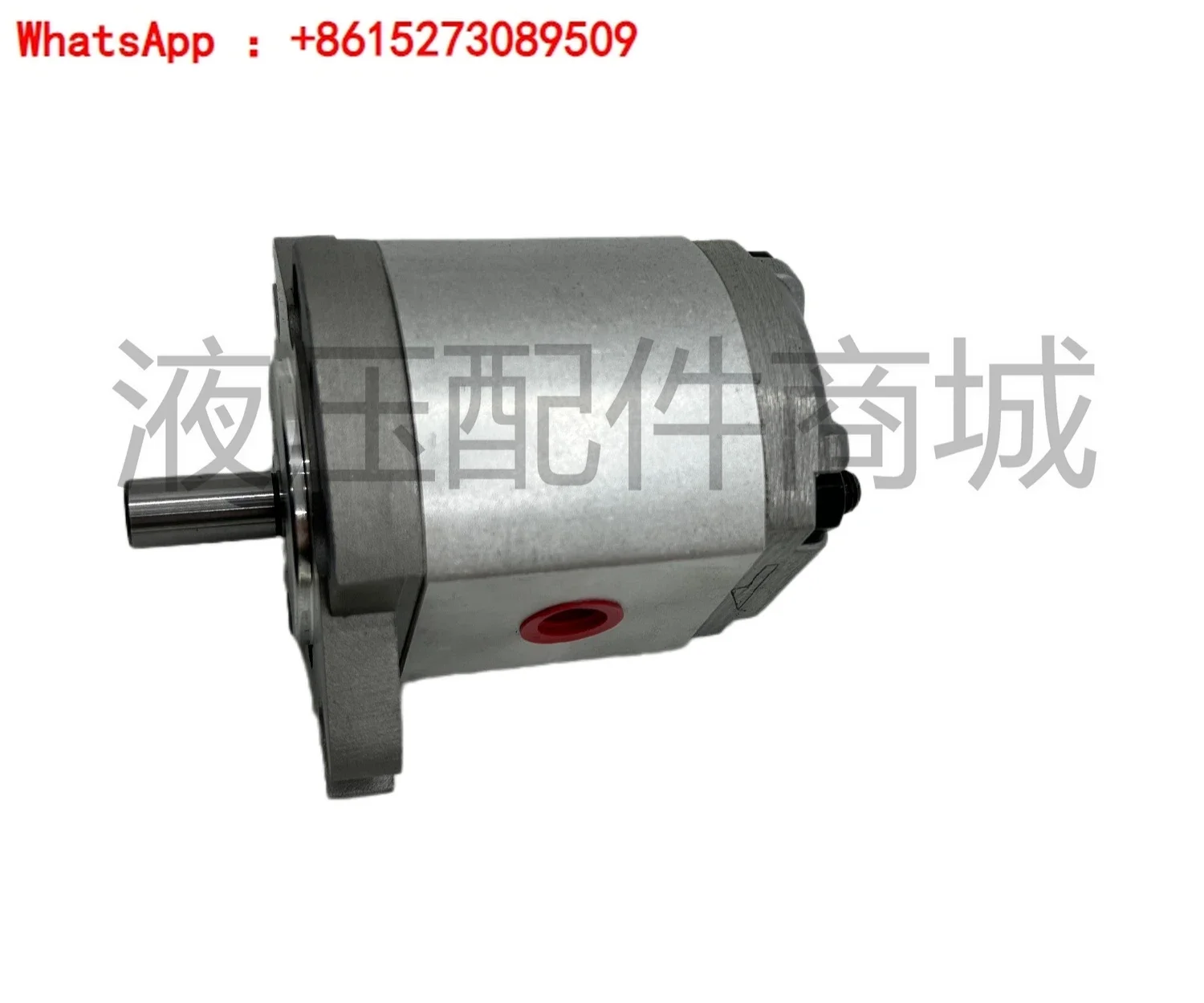 HGP-1A-F6R F1R F2R F3R F4R F5R F8R genuine gear pump