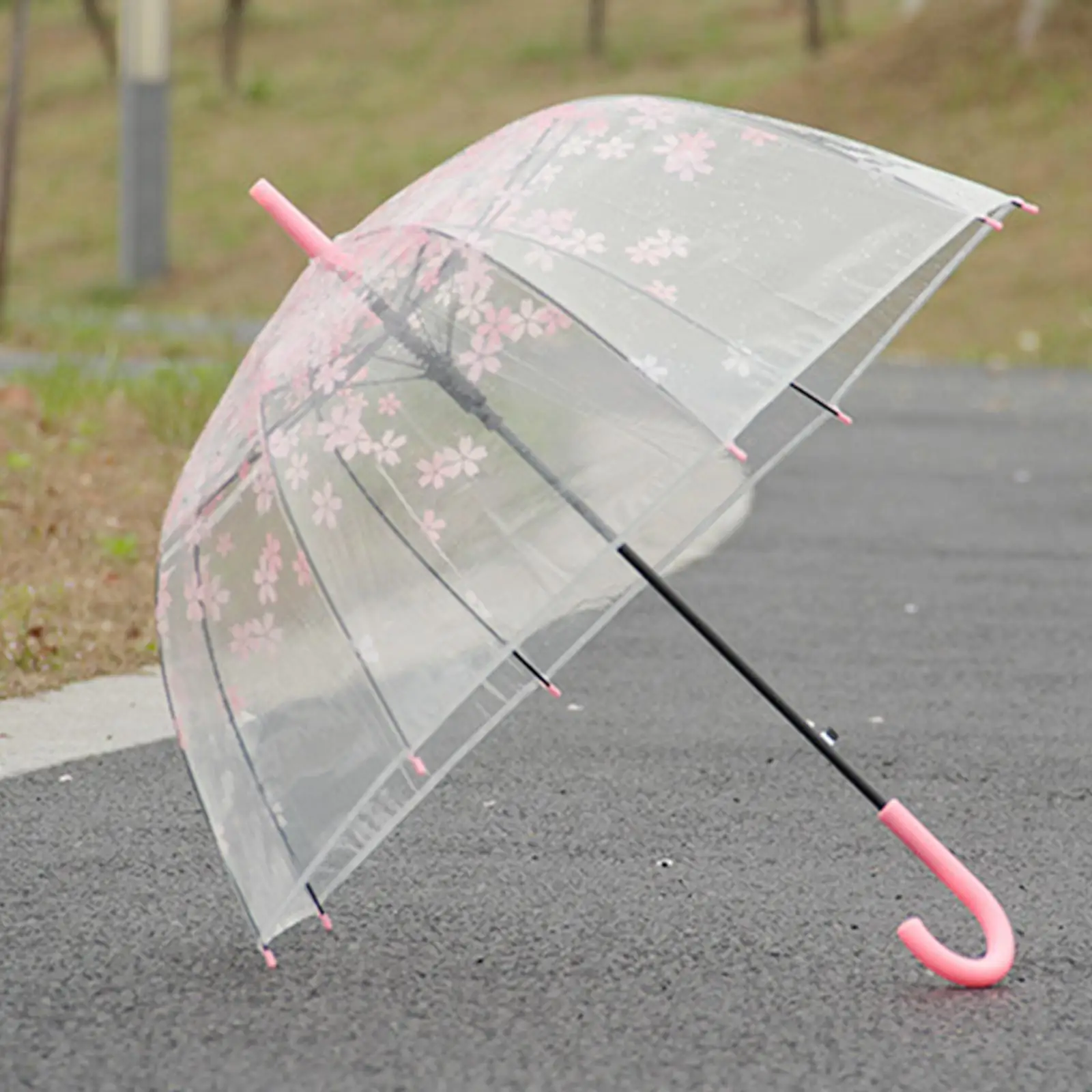 Clear Bubble Umbrella Cherry Blossom Transparent Umbrella Stick Umbrella