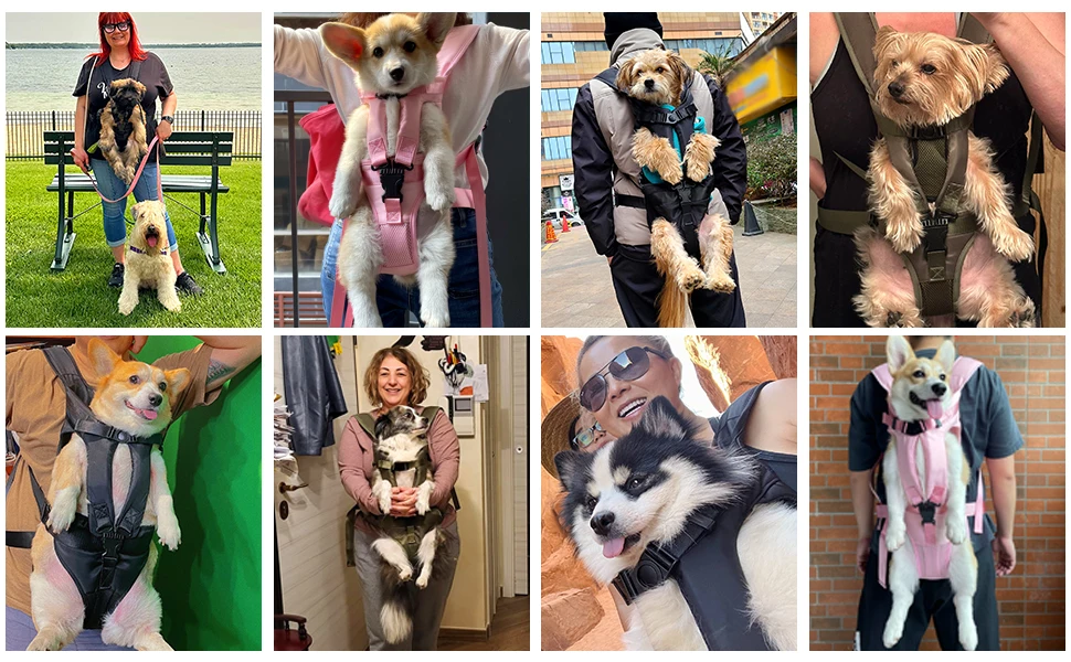 Outdoor-Haustier-Tragetasche für vorne am Hals, verstellbarer, freihändiger Hunderucksack für mittelgroße und kleine Hunde – Detail 4