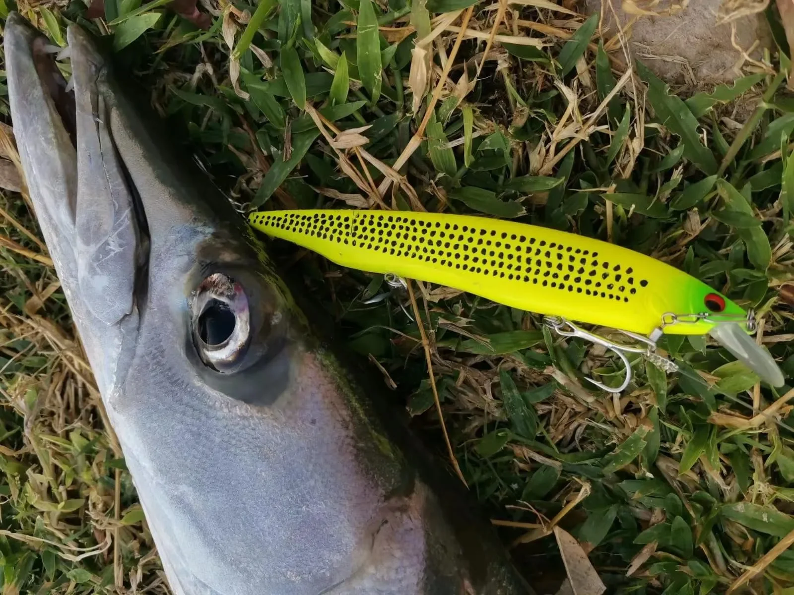 bandit fishing lures for walleye Custom Bandit Walleye Deep  Vertical Jigs and Lures