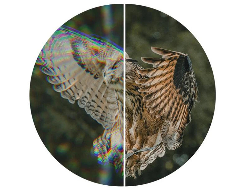 Shuntu Leistungsstarkes 10x50/12X50 ED-Objektiv-Fernglas IPX7 wasserdichtes Bak4-Prisma-Langstrecken-Außenteleskop für Camping, Jagd, Sport – Detail 6