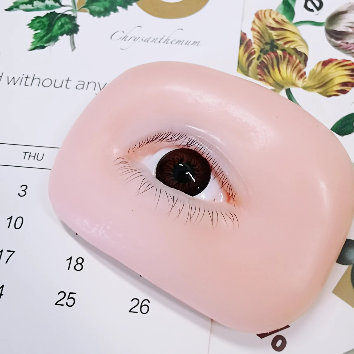 False Eyelash Mannequin Eyes Flat Doll Head For Lash Practice Eyelash Mannequin Doll Face  Korean Makeup Products Tool For Women