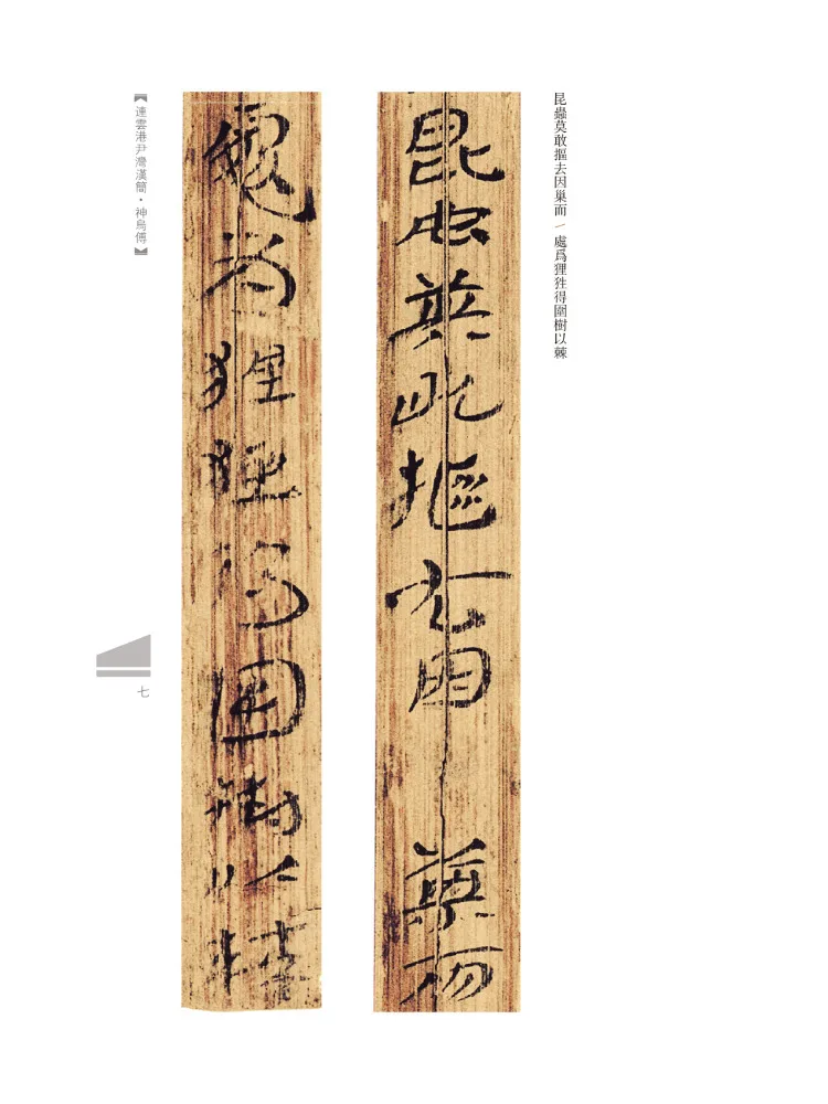 كتاب-Winshare Lianyungang Yinwan زلات الخيزران الخيزران · شينو فو