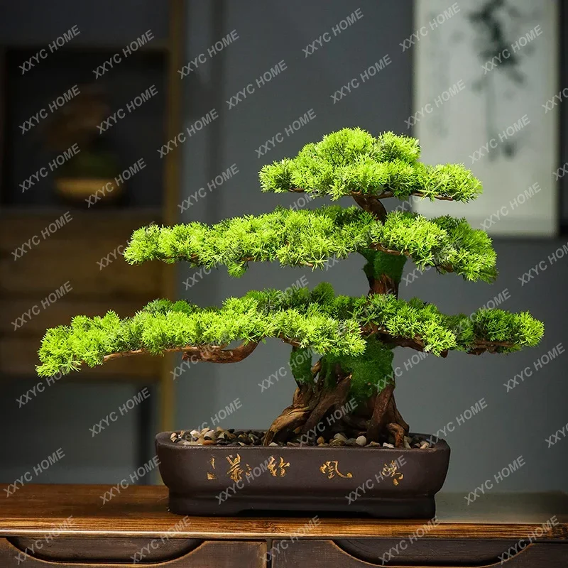 

Simulated welcome pine bonsai living room porch cypress beauty pine, green plants decoration
