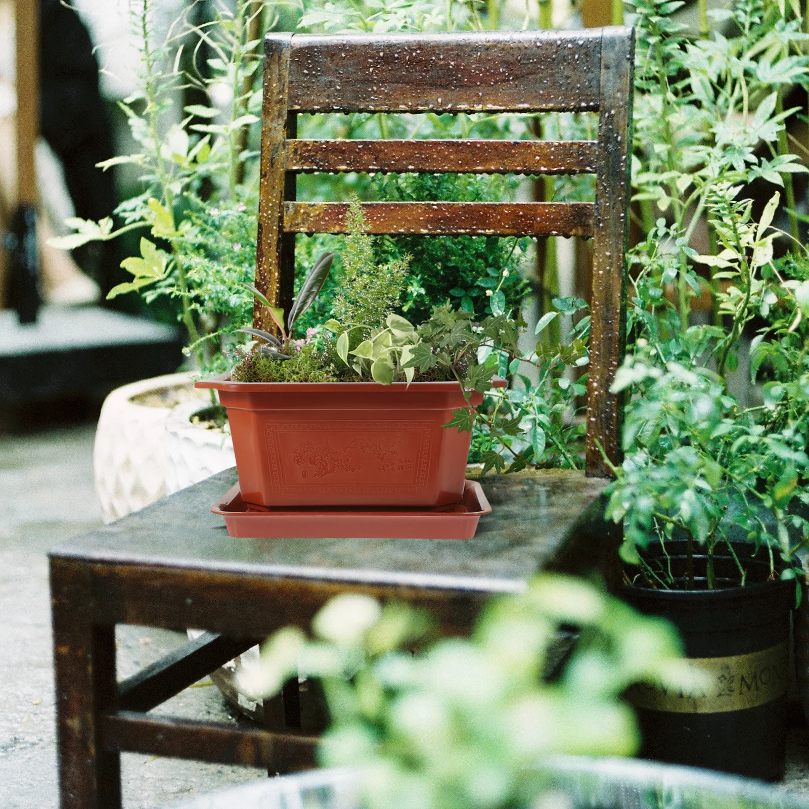 6Sets Plastic Planter Pots with Trays for Succulents Cactus Small Plants Home Office Decoration Green Plant Container Set