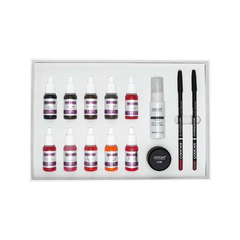 Professional GoochiKit 10 Colors Permanent Makeup Pigment Kit Tattoo Supplies Tattoo Ink Kit for Eyebrow Lip