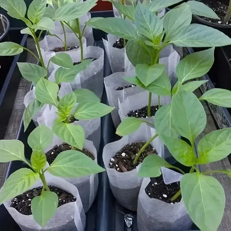

8x10cm Biodegradable Nursery Bag Plant Grow Bags Non-woven Fabric Seeds To Sow Flower Pots For Home Garden Accessories Tools
