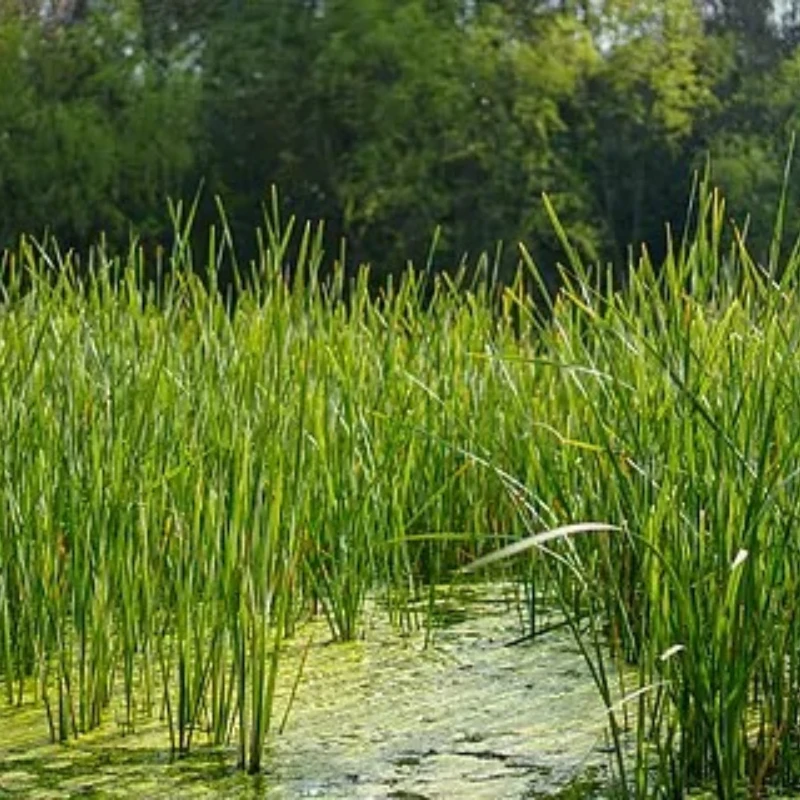 

GEPRC TAKER F722 45A 32Bit AIO Flight Control Betaflght INAV / ESC Buzzer 16MB Black Box 32Bit Data Analyze Record for Rc Model