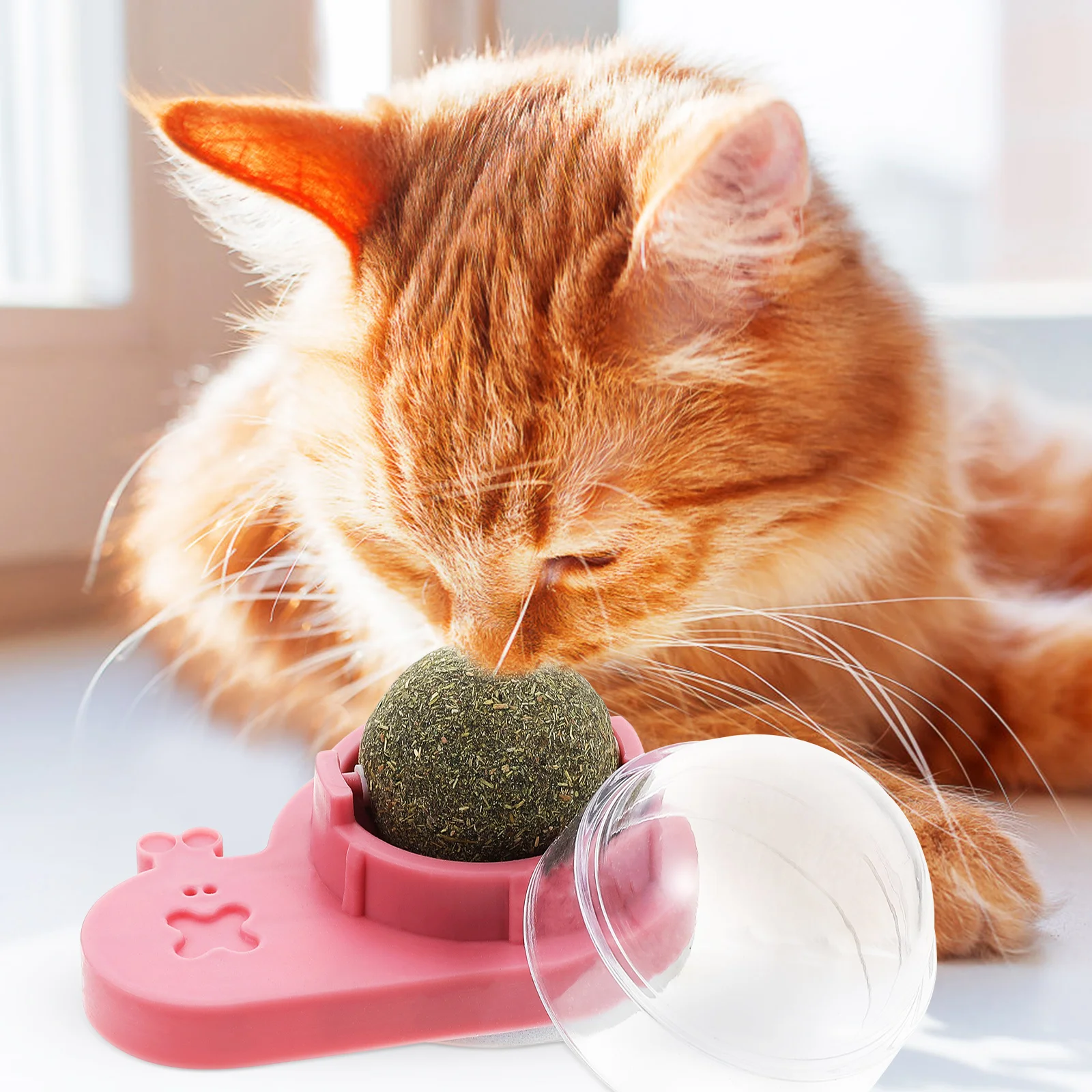 

Polygonum Balls Small Cat Catnip for Cats Wall Pink Lick Indoor Pp Treat