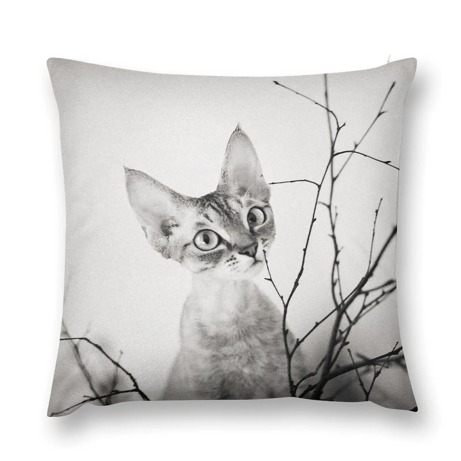 Little curious Devon Rex cat with tree branches Throw Pillow anime girl pillow