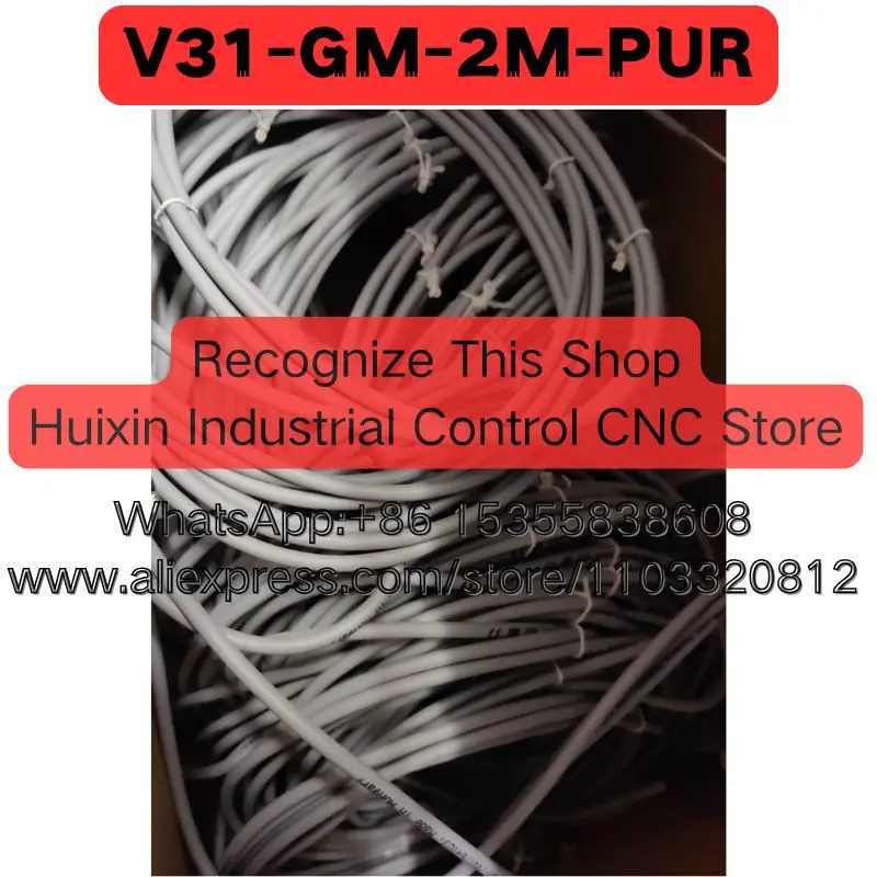 V31-GM-2M-PUR Brand New Original Expedited Delivery