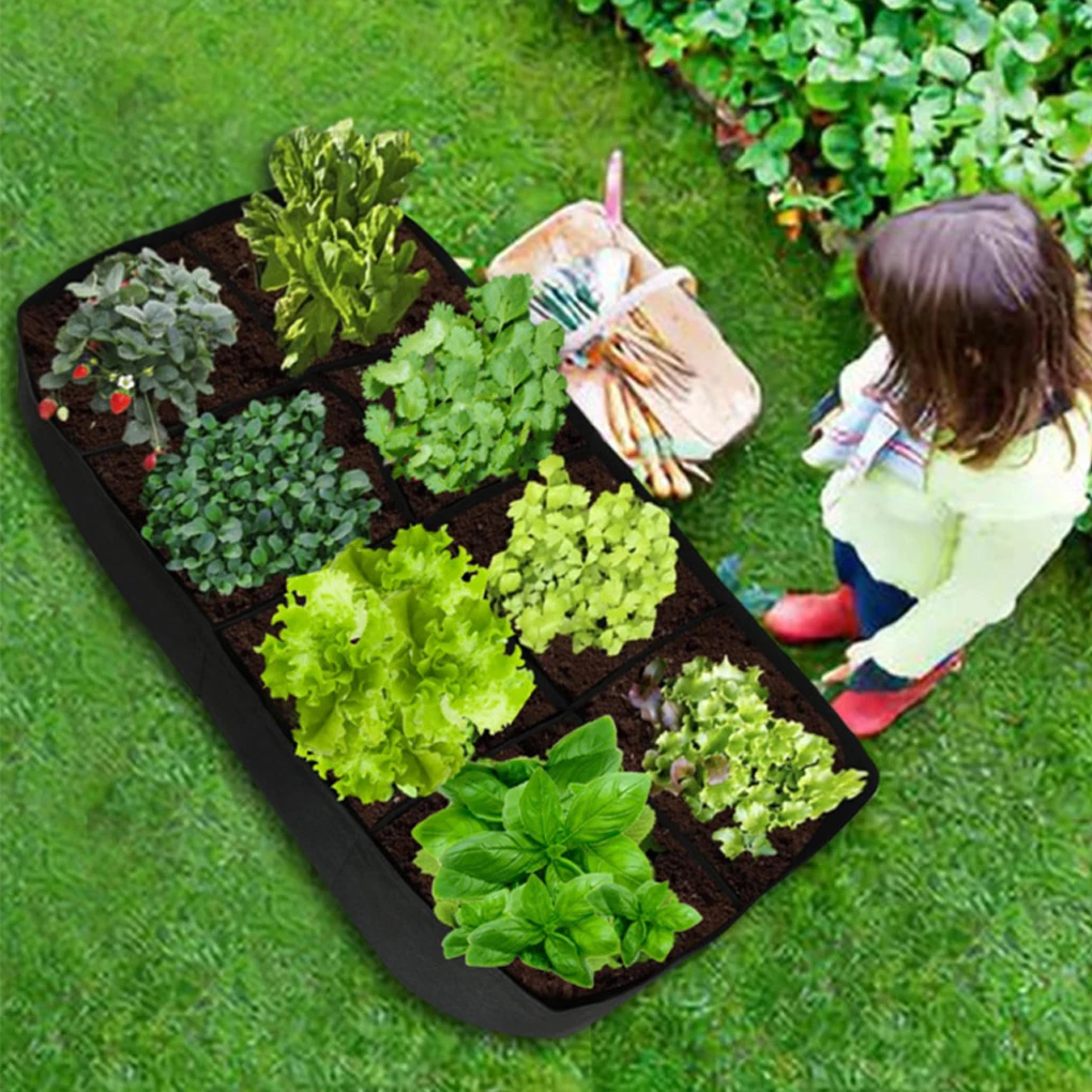 

Felt grid split bag, green growth, garden pot, beautiful planting