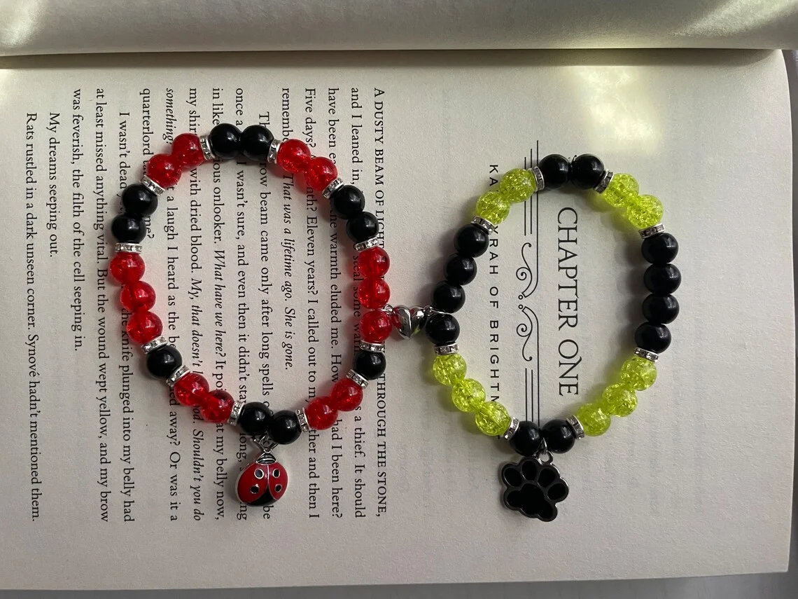 Black Cat and Ladybug Inspiration Bracelet