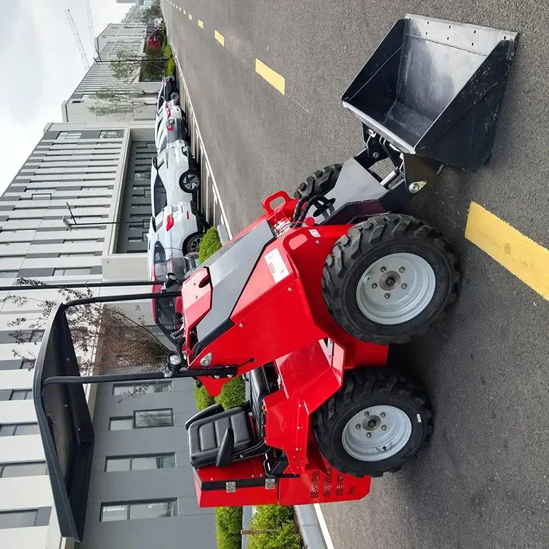 

Индивидуальная цена в Китае, дешевый мини-погрузчик с колесным ковшом и 1-летней гарантией на продажу