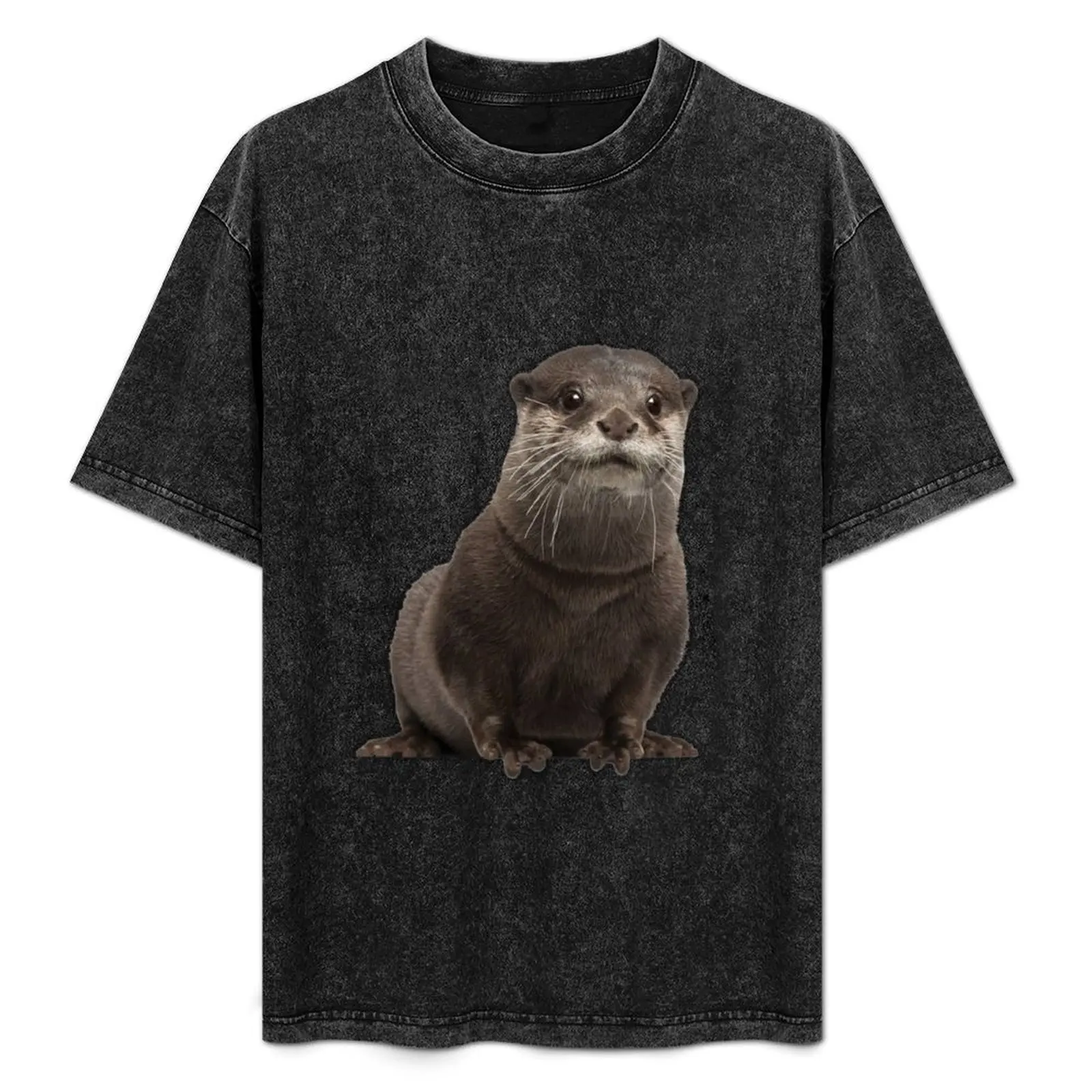 

clawless otter Lovers T-Shirt Casual Minimalist Short Sleeve Top