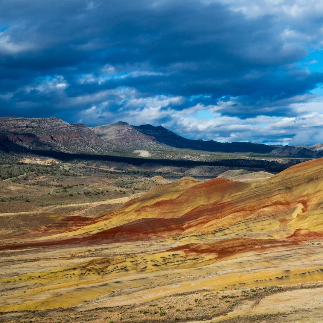 

AFJY Android 14 For Jaguar XJ X-TYPE S-TYPE 2004-2011 Car Radio Multimedia Player DVD Automotivo Auto GPS Navigation Carplay DSP