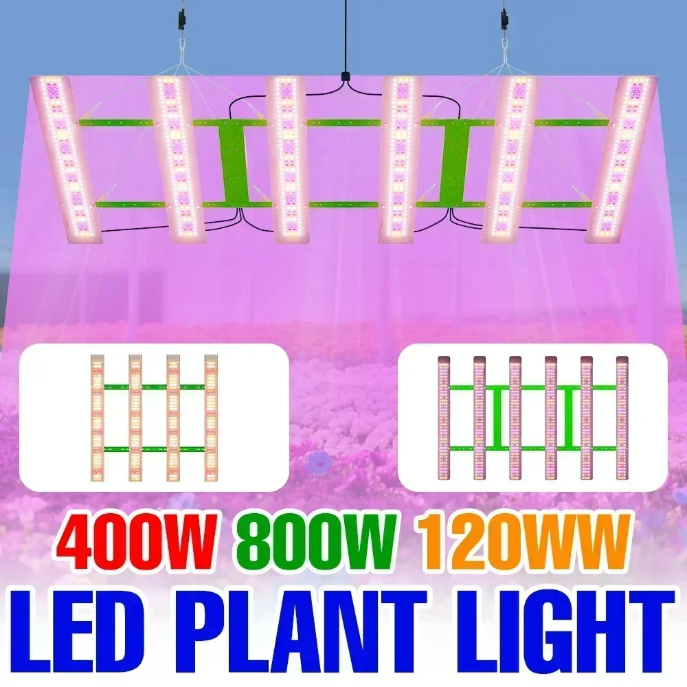 

1200W LED Full Spectrum Grow Light Quantum Board Plant Fill Lamp Greenhouse Tent Vegs Hydroponic Flower Cultivation Lighting