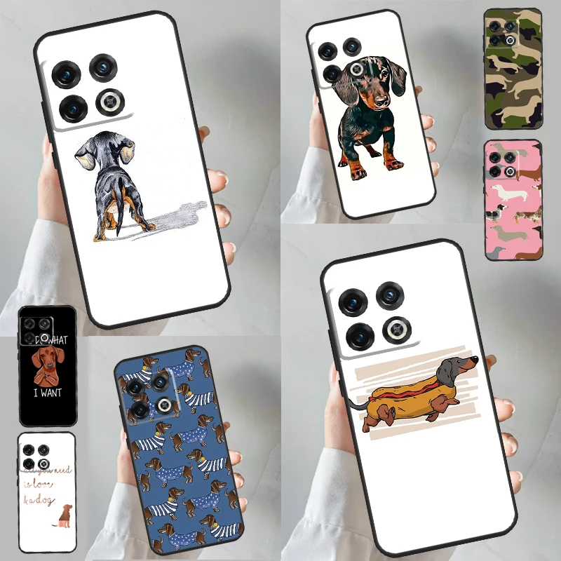 Dachshund Teckel Da… - image