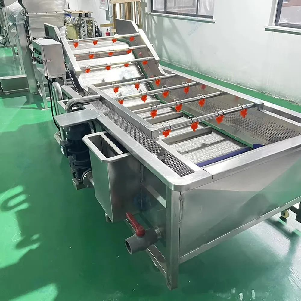 Industrial Ozone Vegetable Bubble Washing Machine with Water Circulation High Pressure Washer for Commercial Use