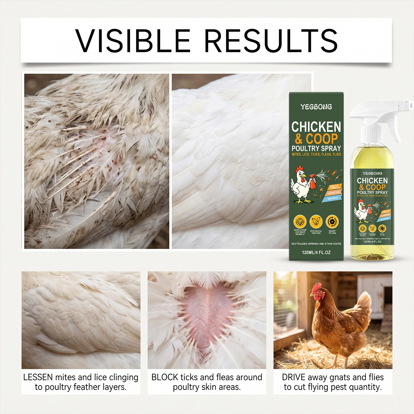 Geflügel- und Hühnerstall-Anti-Floh-Spray Floh- und Läuseentferner Externes Insektenschutzmittel Entwurmungsmittel Hygiene-Pflegeprodukte – Detail 11