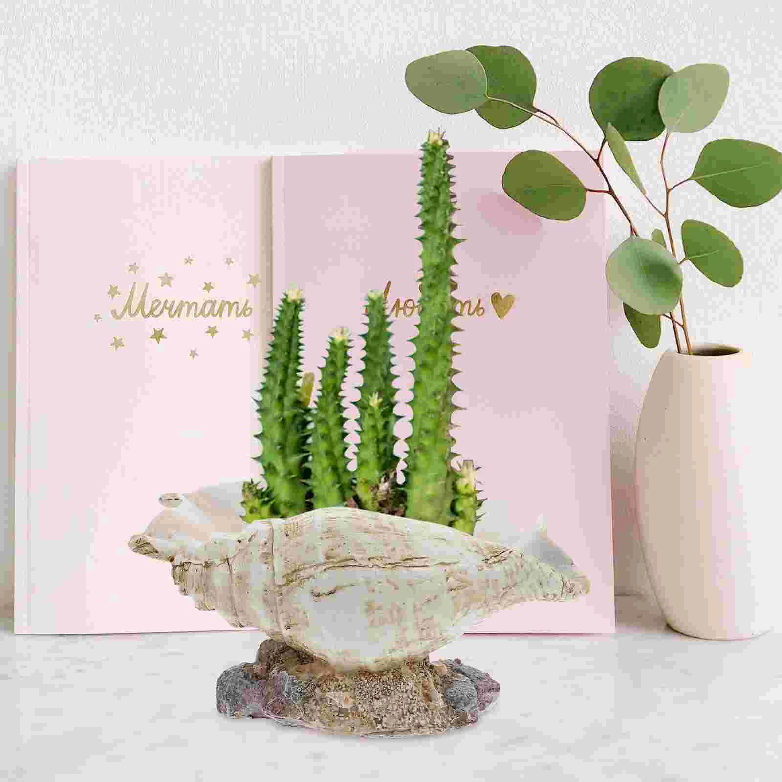 

Simulated Conch Flower Pot Succulent Planter Flowerpot Desk Container Artistic Resin Design
