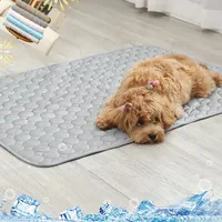 Summer Pet Ice Mats Summer Cat Dog Sofa Nest Bed Cooling Sleeping Pad for Small Dogs Pets Durable Sofa Cooling Pad Dog Cat Beds