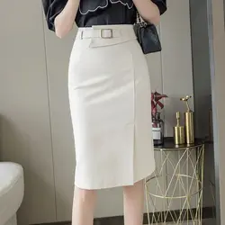 Harajuku Aesthetic A Line Women Casual Fashion Clothes Streetwear Formal Zipper Solid Chic All Match Y2k High Waist Female Skirt