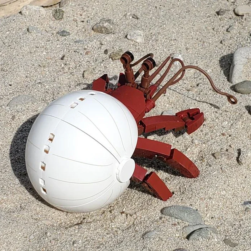 Sea Creatures Shellfish Series MOC Nautilus Hermit Crab Creativity Building Blocks Model Children\'s Enlightenment Education Toys
