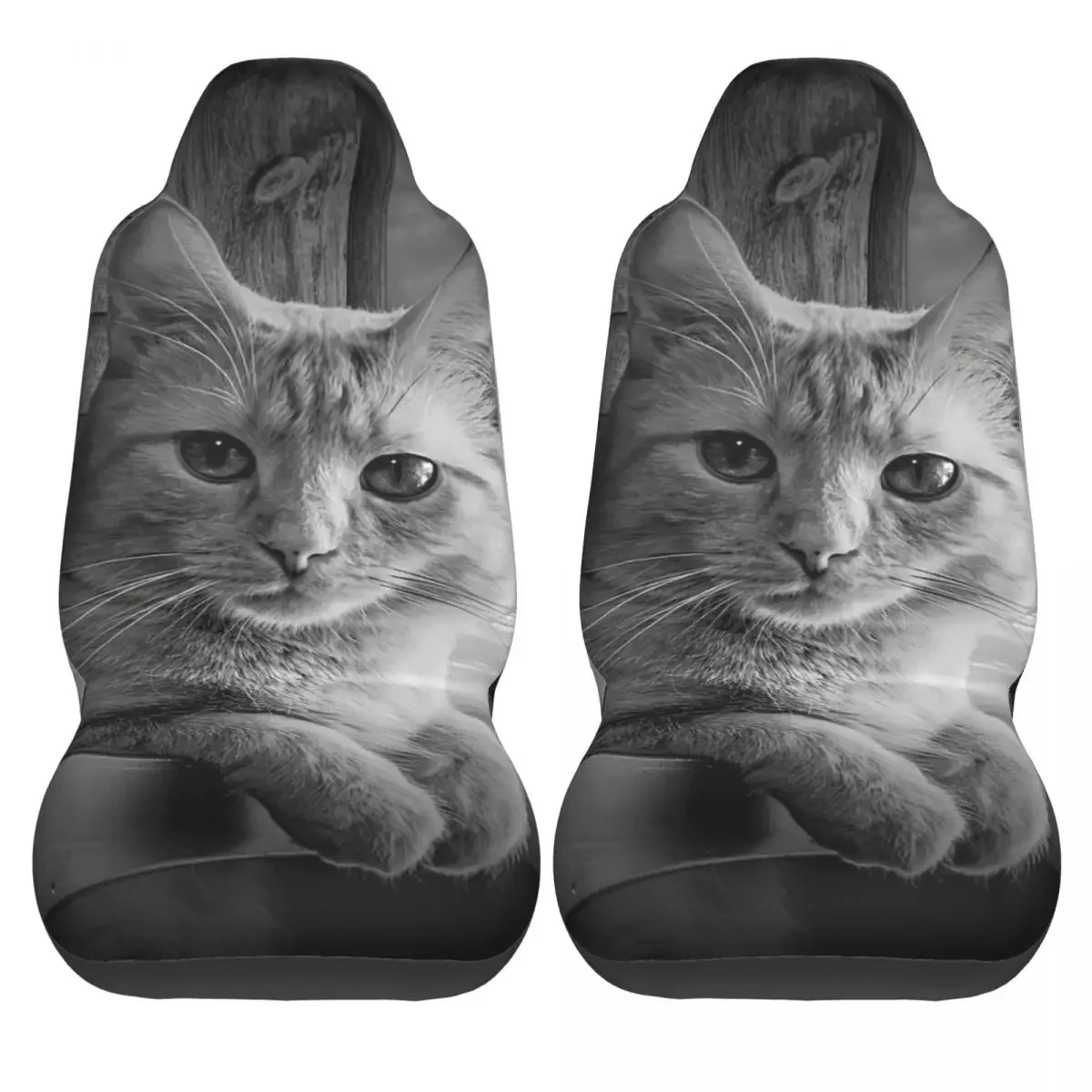 Portrait In Black And White Of A Domestic Cat Car Seat Cover Custom Printing Universal Front Protector Accessories Cushion Set