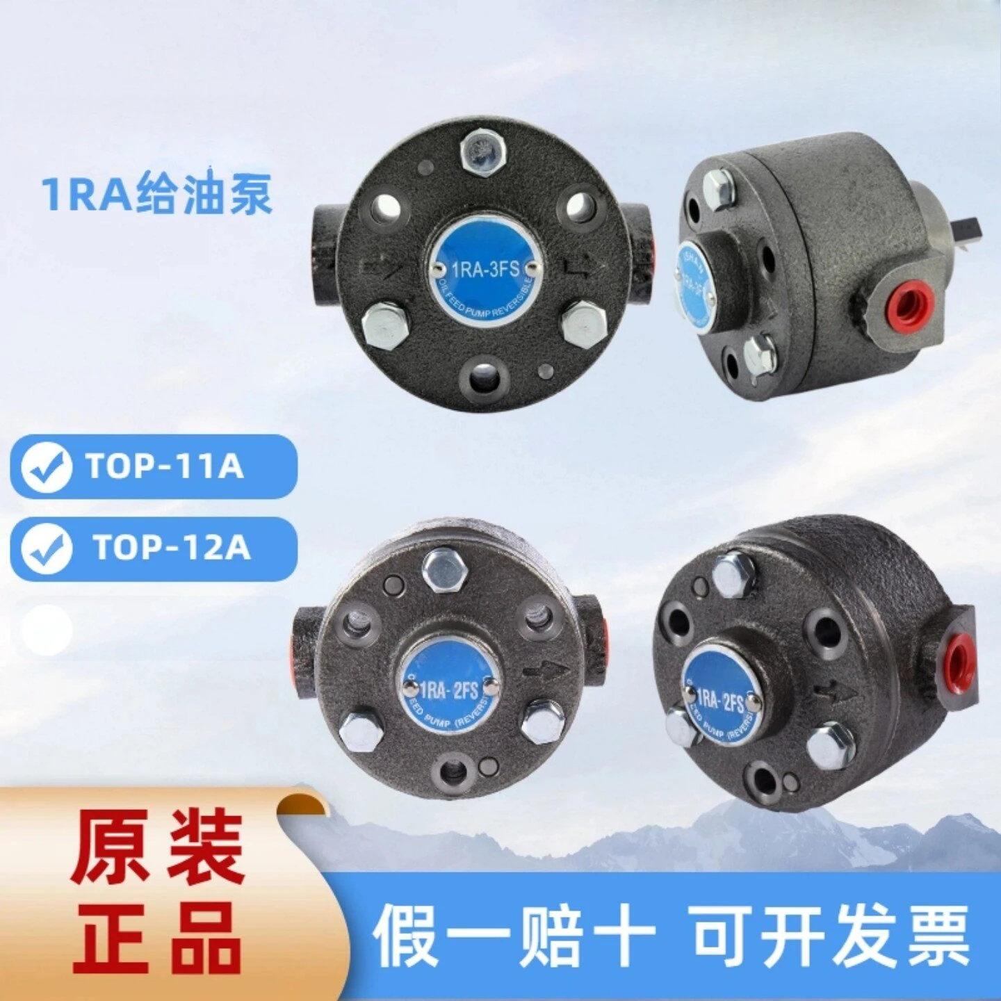 Reversible 1RA-2FS 1RA-3FS Feed Pump Cast Iron 3C Oiler Electric