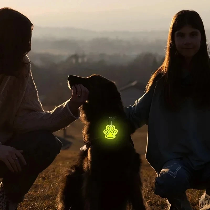 Led Haustier Hund Leine Seil Mit Licht Leuchtende Leine USB Lade für Hund Sicherheit Blinkende Leuchtende Kragen Harness Zubehör – Detail 19