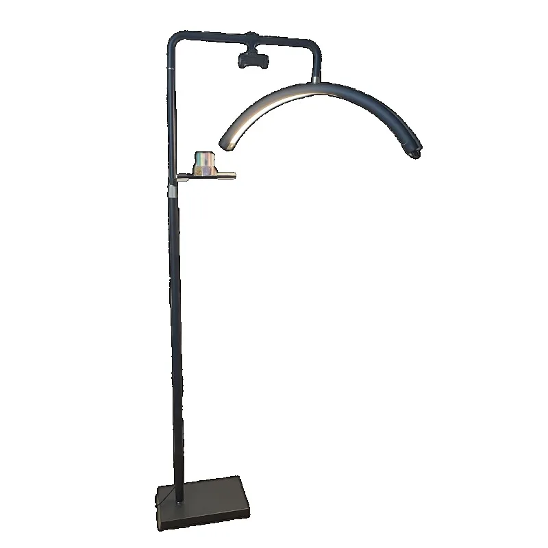 

36W manicure and eyelashes LED curved floor lamp knob switch + mobile phone holder + tray