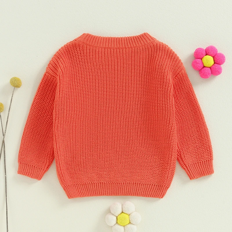 Little Sister Newborn Outfit Baby Girl Winter Clothes Knitted Sweater Matching Sister Sweatshirt Fall Clothes