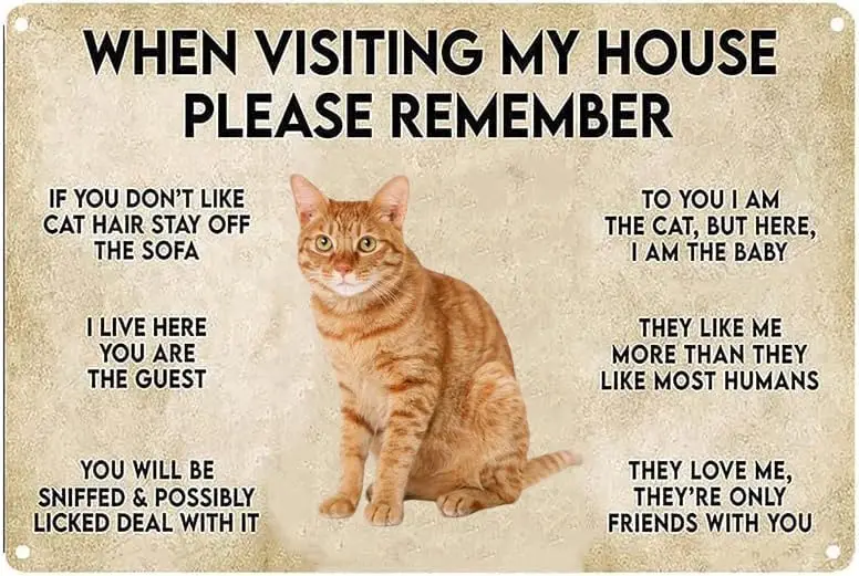 Vintage Poster Metal Plaque Funny Cat Poster When Visiting My House Please Remember Metal Sign Retro Decor For Home Cafes Off