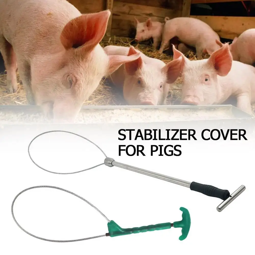 1 Pc Pig Baoding Set Stainless Steel/plastic Long Handle Pig Fixed Rope Veterinary Equipment Livestock Tools Restraint Function