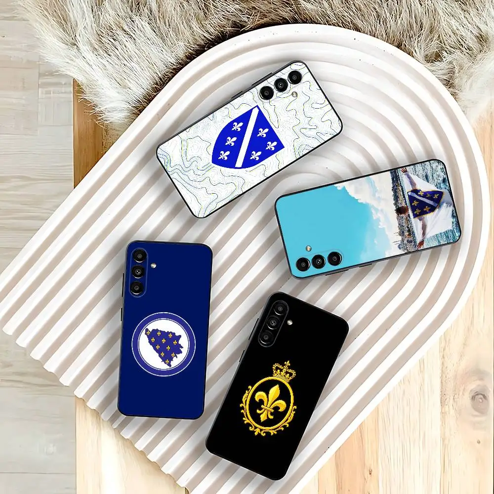 Bosnia and Herzegovina Flag Phone Case Silicone Soft For Samsung  Galaxy A73,31,32,72,41,53,52,71,22,5G,Note,J7,8,9