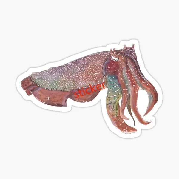 

Cuttlefish Vinyl Stickers Waterproof Decals Bumper Truck Pickup Camper Car Body Refrigerator
