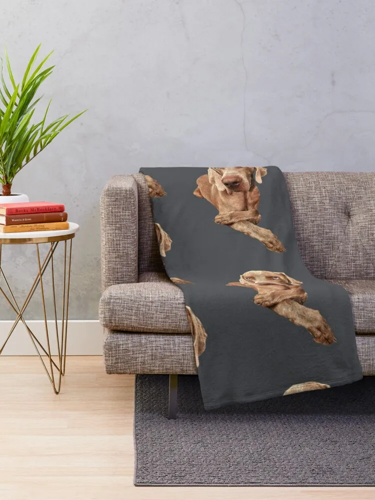 Weimaraner Throw Blanket Bed linens Beach Picnic Blankets