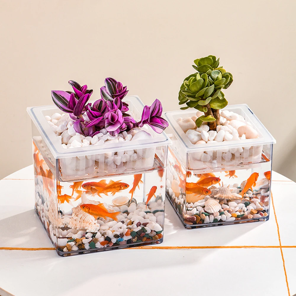 Pecera cuadrada para acuario de escritorio con soporte para plantas, Mini mesa ecológica para pecera, juego de acuarela para decoración del hogar y la Oficina, hidroponía