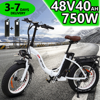 Electric bicycle 750W Brushless Motor 48V20AH Removable Battery 20*4.0 Inch Fat Tire Urban Electric Bike 7 speedFolding E Bike