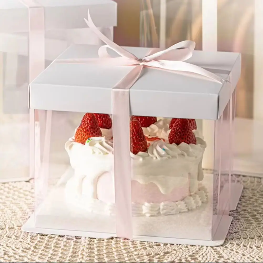 Clear Plastic Cake Gift Box with Ribbon 10 Inch/12Inch, Pink / White